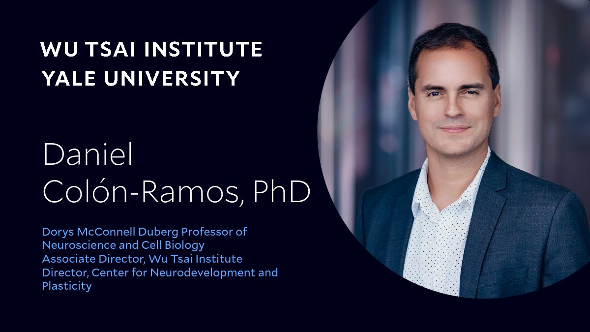 WuTsaiYale's tweet image. WTI&apos;s Director of the Center for Neurodevelopment + Plasticity, @dacolon, will be at #Booth3216 after 2:30p today to answer your questions about the Center&apos;s research, postdoc opportunities + cutting-edge tools.

🔗 wti.yale.edu/research/neuro…

#CellularNeuroscience #Circuits…