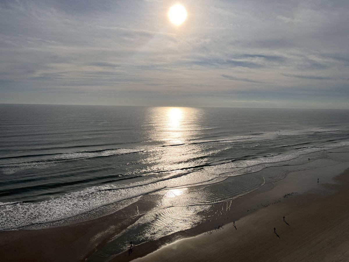truesim's tweet photo. @DermotNCosgrove Daytona Beach 2023 https://t.co/HzP29gjc3X