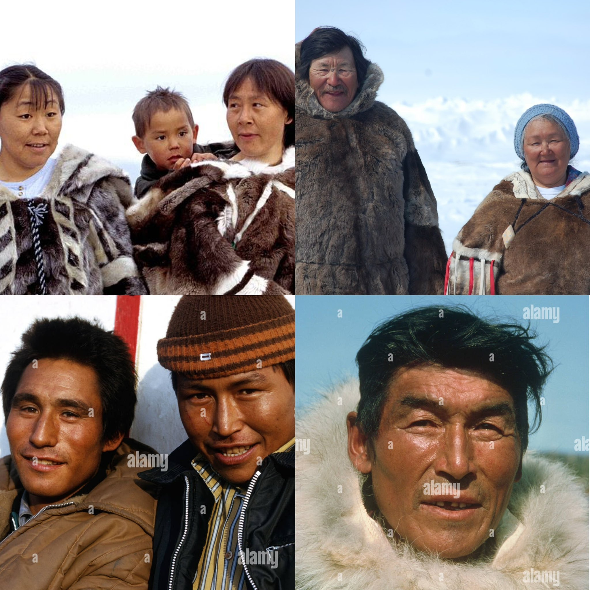Inuit Media Inuit Actors 60 Photos - Moonagedaydream.film