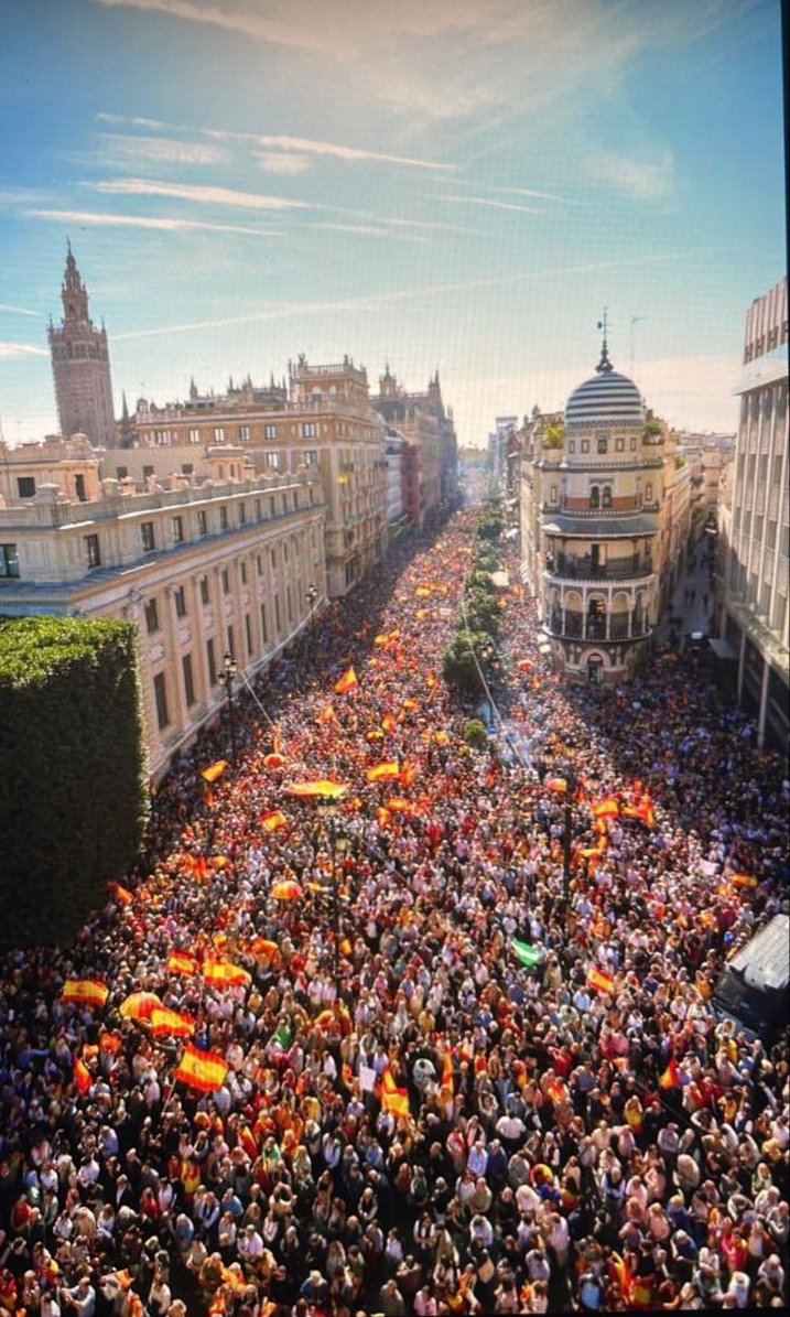 Patricia_Pozo_'s tweet photo. GRACIAS a los más de 65.000 sevillanos que se han unido hoy para decir no a Pedro Sánchez y a un pacto indigno. 

🇪🇦 #EspañaNoSeRinde https://t.co/8edmavSuqm