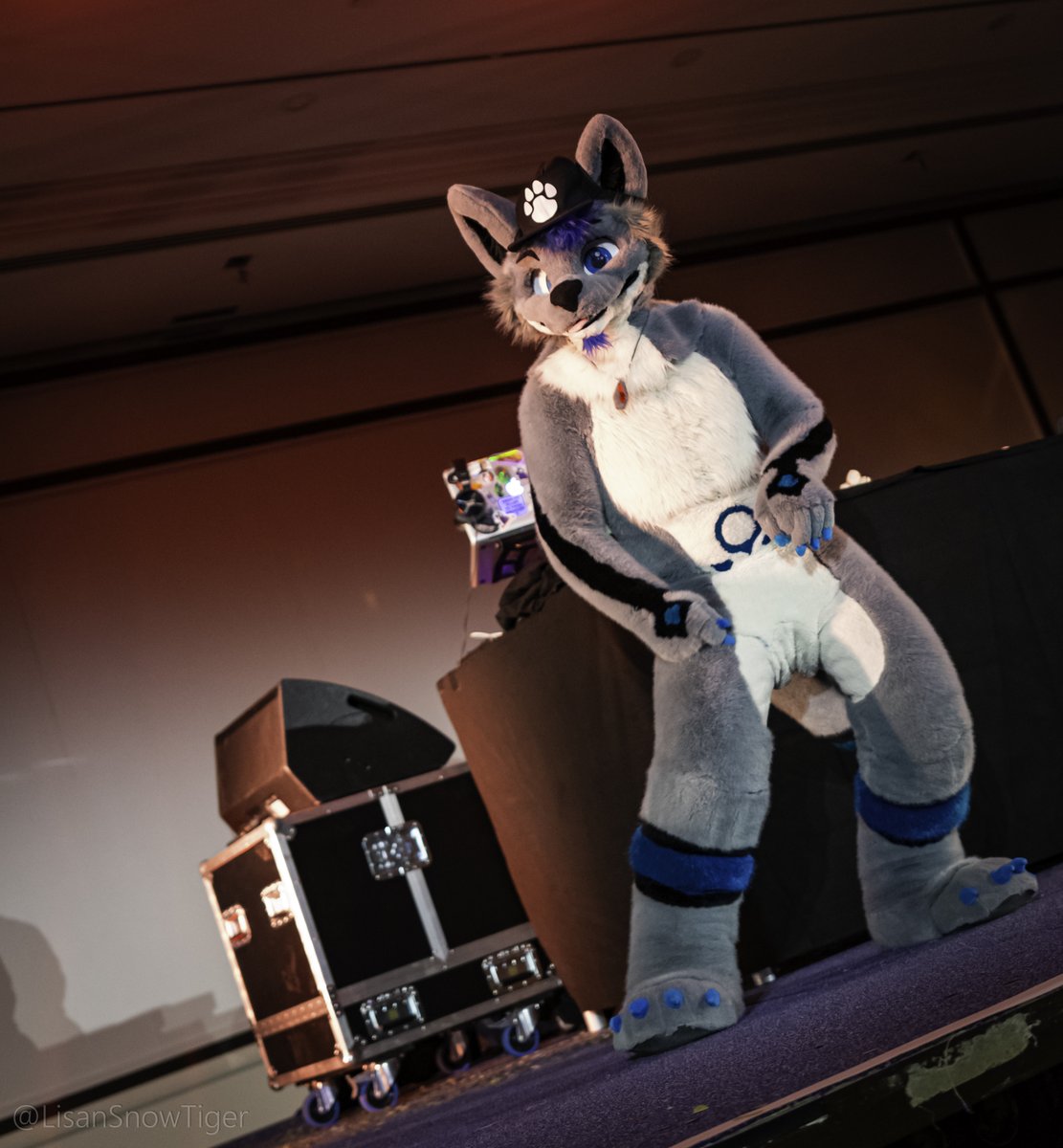 RayBleiz's tweet photo. Let's have good vibes with style🎶
📷 @LisanSnowTiger at the @FBlacklight
#FursuitFriday #FB11 https://t.co/kSj6pIEsPP