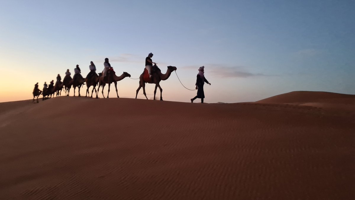 New Post! On a recent trip to Morocco, we camped in the Sahara Desert. This was no ordinary camp! It was a magic experience, made extra special as we arrived by camel in the moonlight. Check it out! #Morocco #Sahara #Desertcamp #Cameltrek abfabtravels.com/camping-in-the…