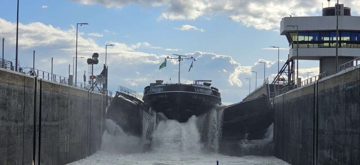 Bernard B tweet media