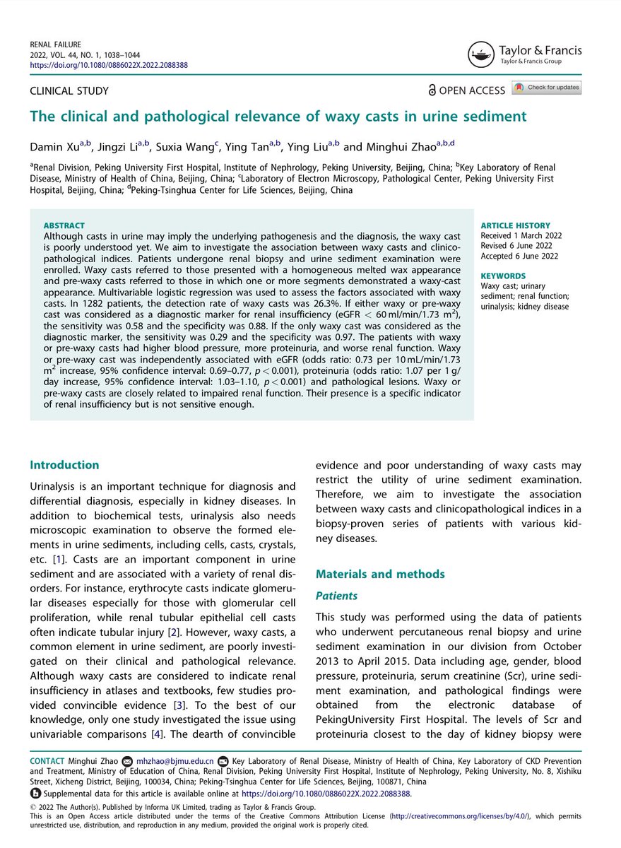 jrseltzer's tweet photo. Interesting article! The clinical and pathological relevance of waxy casts in urine sediment: https://t.co/JI6BBCp6r1
#UrineMicroscopy #UrinarySediment @VelezNephHepato https://t.co/osIJoWwfbG