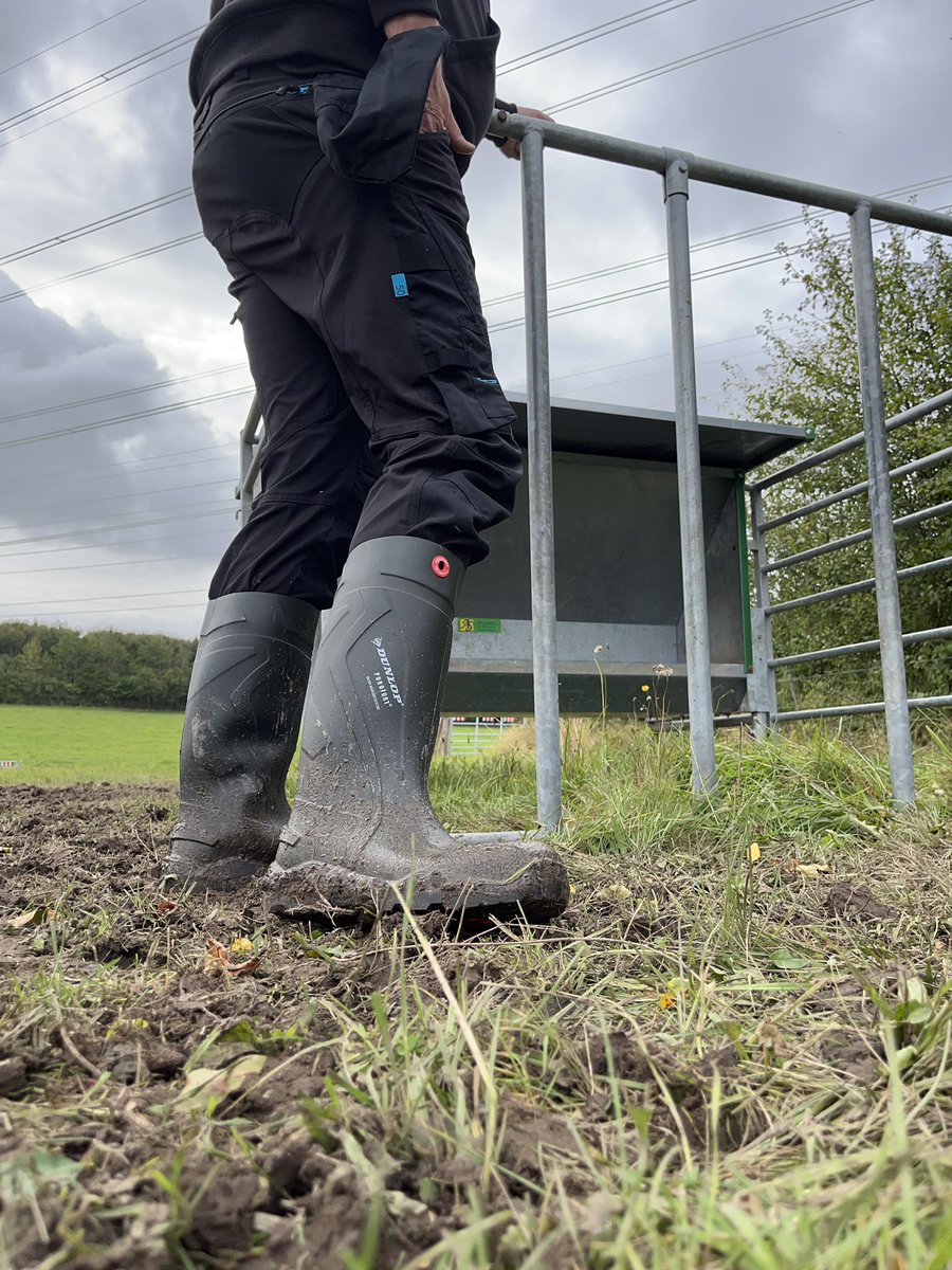 NorabootsDK tweet media