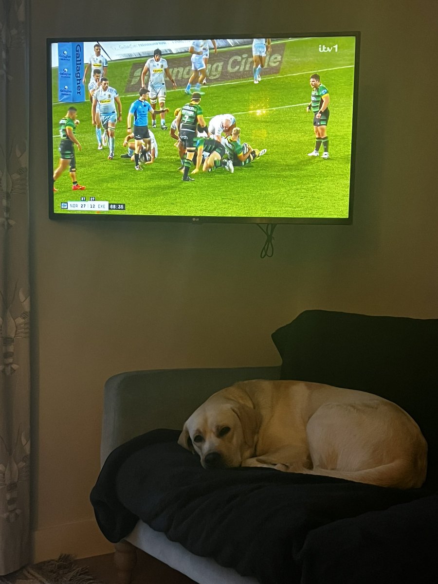 There is a lot of shouting going on here! 😇

#woofwoof