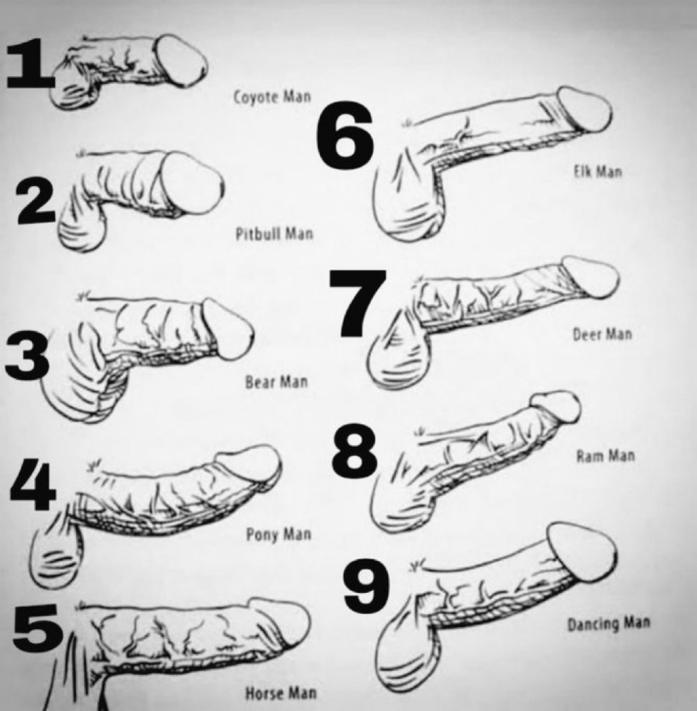 Bisexual fun tweet media