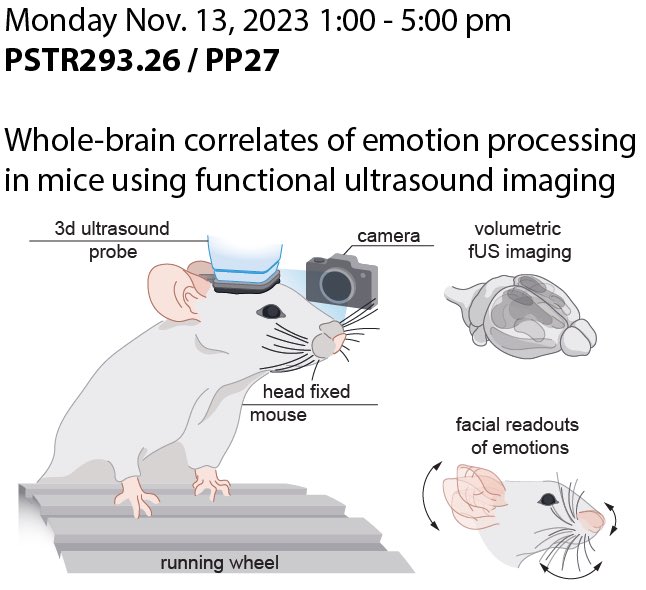 I’ll be presenting a poster on my latest postdoc work from the labs of @NadineGogolla and @EmilieMaceLab tomorrow afternoon at #SfN23. Drop by if interested!