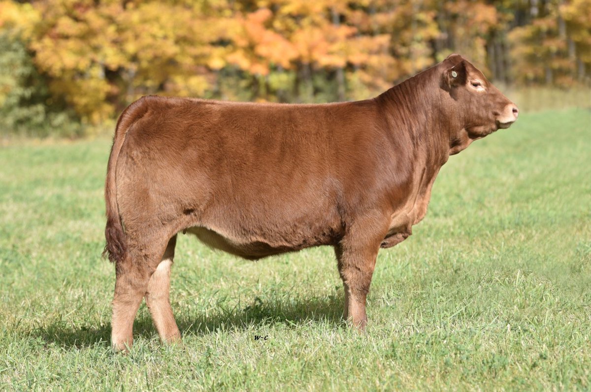 Mary Lynn Lawrence tweet media