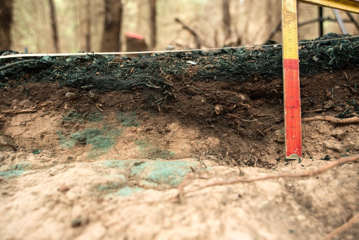 🌲🌳Víte, že různé druhy stromů si v půdě ve svém nejbližším okolí udržují různou vlhkost? 
👉A že nám jejich nakládání s vodou může pomoci vytipovat dřeviny, které jsou odolnější změnám klimatu?
🔗Více v odborném článku: link.springer.com/epdf/10.1007/s…
#naturefuture