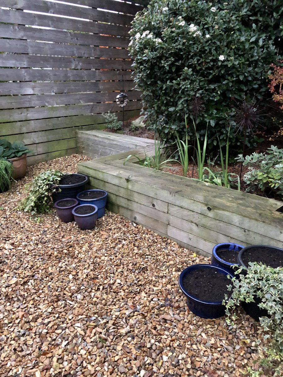 Jane_Arthur_'s tweet image. Jeezo it is so cold 🥶
A Sunday afternoon well spent in the garden 🪴
Now for a hot bath and some of my lentil soup that I made earlier 🥣 #happyplace #garden 
#smallbutbeautiful @GWandShows @TheMontyDon