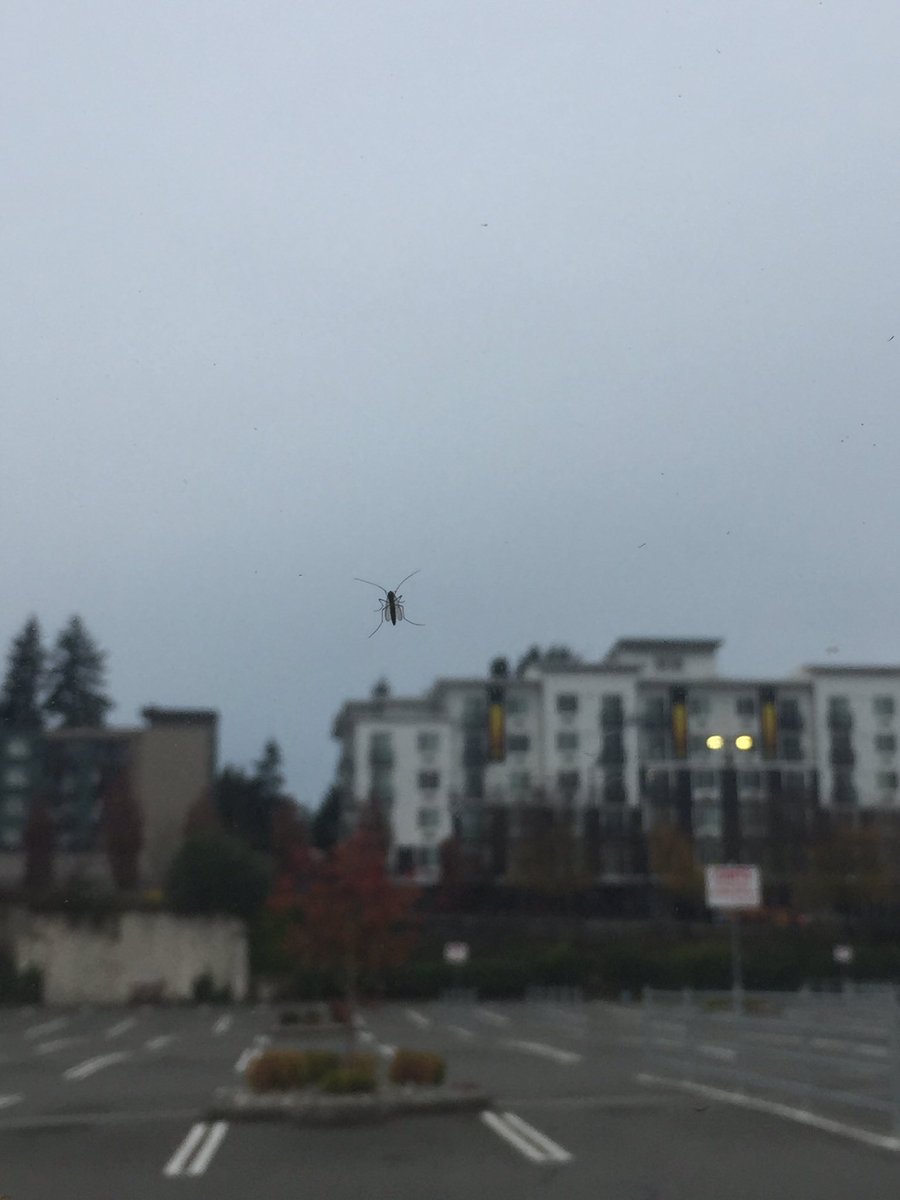 Linda Liu tweet media