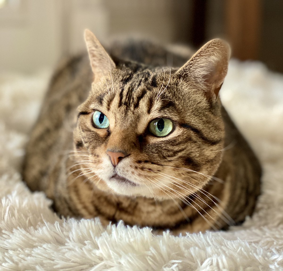 For the love of Missy. tweet media