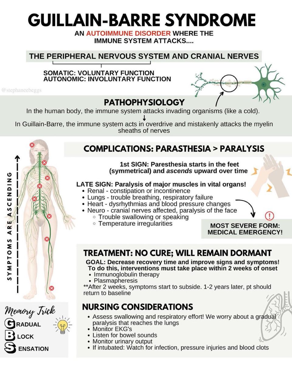 DrPharmDMDTh's tweet photo. Guillain-Barre syndrome (GBS) - Summary

My YouTube https://t.co/vgQ6zLySEm

#med #MedEd #Medical  #MedTwitter #MedEd #MedStudentTwitter #MedicalStudents https://t.co/WlI4C8Yznn