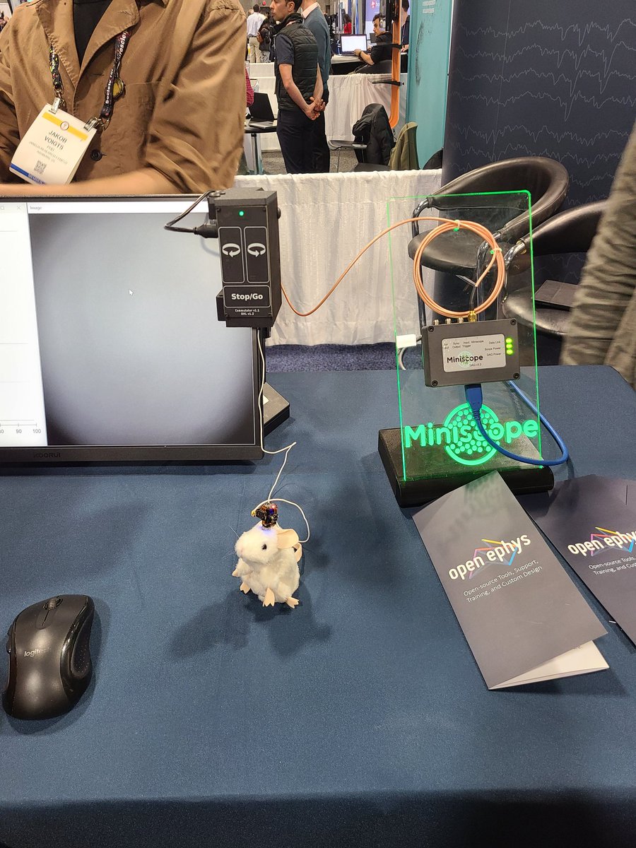 Great to see Miniscopes represented at the Open Ephys Booth (3038)! Come check them out and also all the amazing things @OpenEphys is up to!