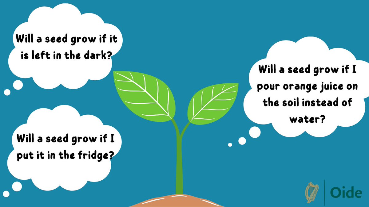 OidePrimarySTEM tweet picture