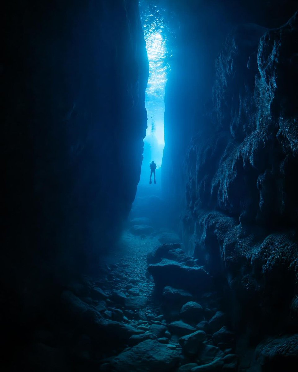 A glimpse into the surreal landscapes and giant jellies of the Mediterranean Sea 🌊

📸 Maxwel Hohn