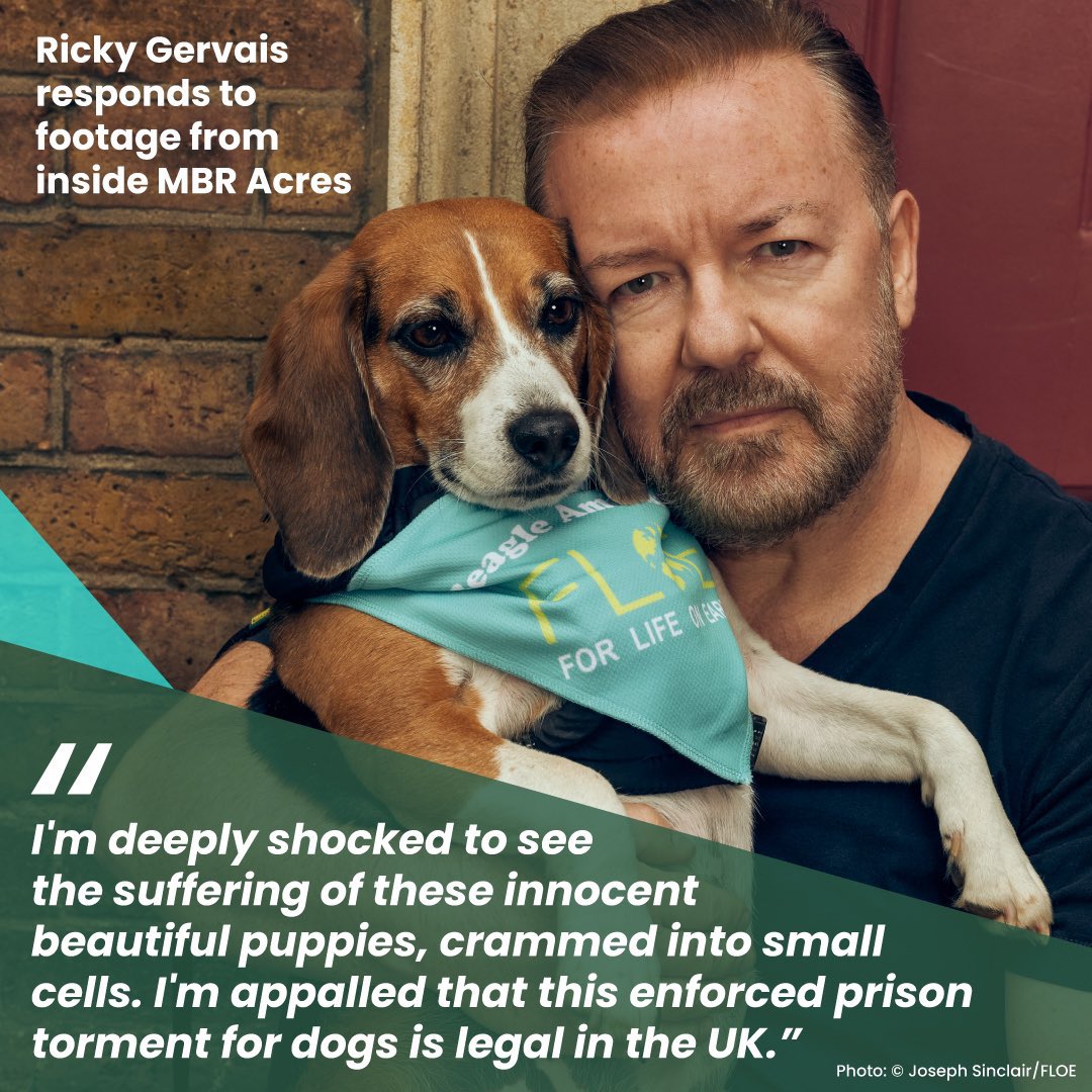 #EndAnimalTesting #OperationBeagle @BetsyAmbassador @rickygervais 

Please ask your MP to sign #EDM278, for a science hearing to stop the false claims about human medicine, which fund cruel animal experiments:

✍️🐾 operationbeagle.org