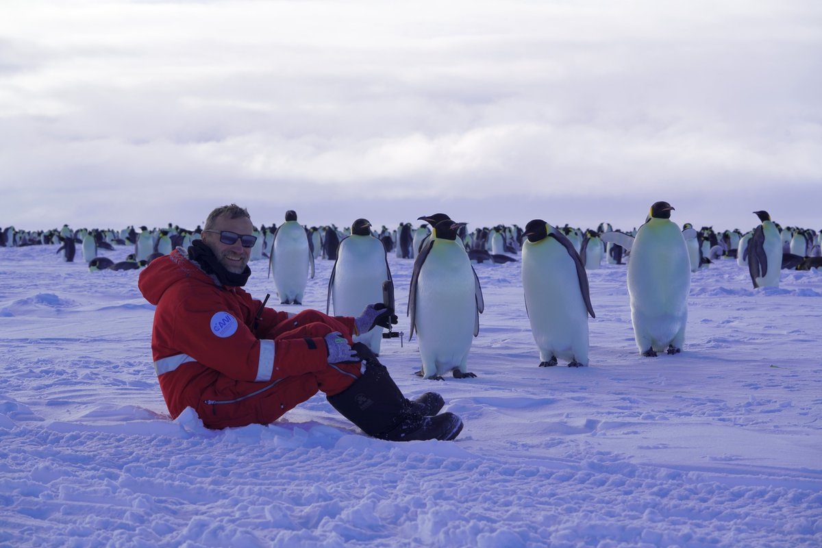 It is great to be back in Antarctica doing penguin research. Avian flu has not arrived here yet, but elsewhere in Antarctica, and we are very concerned. Emperor penguins are already at risk from global warming and really don't need any more threats.