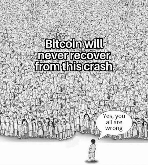 #Bitcoin always recovers