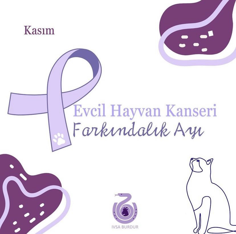 ivsaburdur's tweet photo. Her kasım ayı;Evcil Hayvan Kanseri Farkındalık Ayı-Pet Cancer Awareness Month💜olarak kutlanır.Dünya genelinde evcil hayvanlarda hastalıktan kaynaklanan ölümlerin başlıca nedenidir;bu nedenle hepimiz,tüylü dostlarımızı en iyi şekilde nasıl koruyacağımıza gelin beraber değinelim💜 https://t.co/TdCXpn98Tv