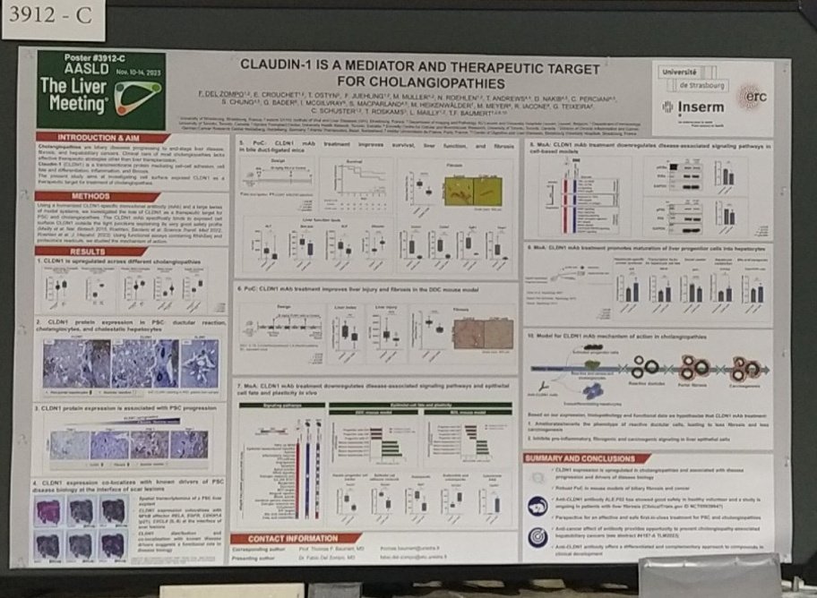 Amazing posters and where to find them: 3912-C - CLDN1 in cholangiopathies - Inserm U1110 Strasbourg #TLM23 @AASLDtweets #LiverTwitter