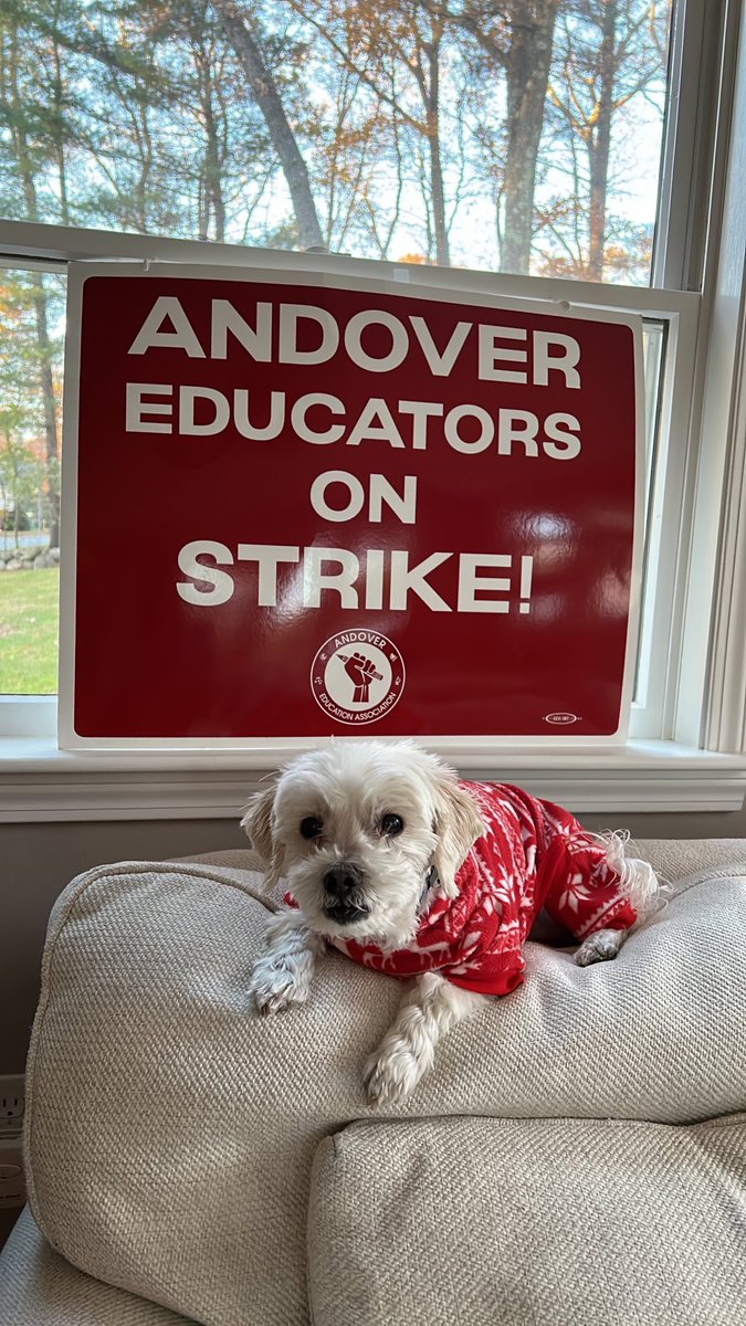 Check out our Facebook and Instagram accounts and share pictures of your #picketpets!! #solidarity