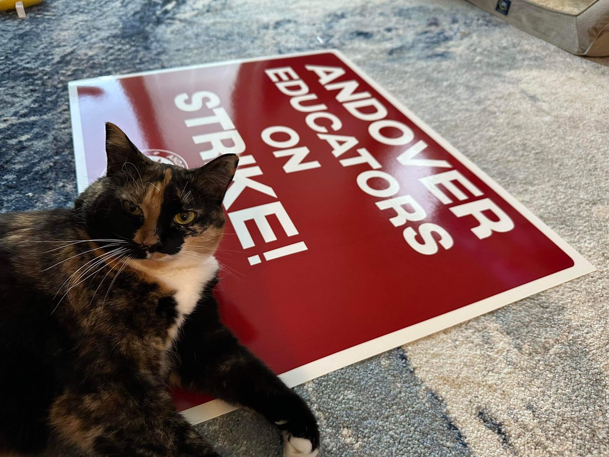 Andover Education Association tweet media