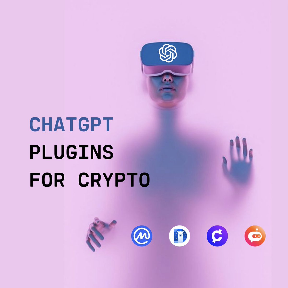 Stacy Muur tweet media