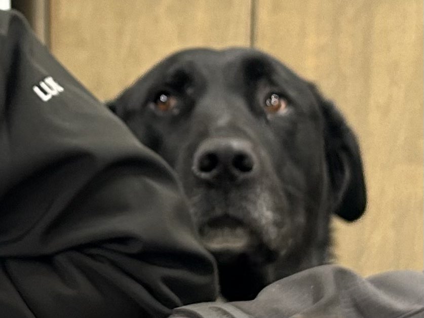 Emily Helmuth tweet media