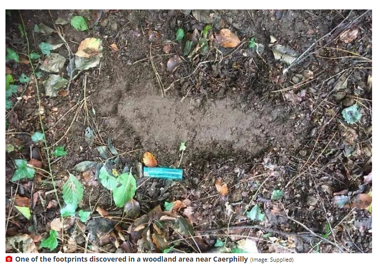 Huge footprint found in Wales confirmed to have been made by 6' 7" primate.
walesonline.co.uk/news/wales-new…