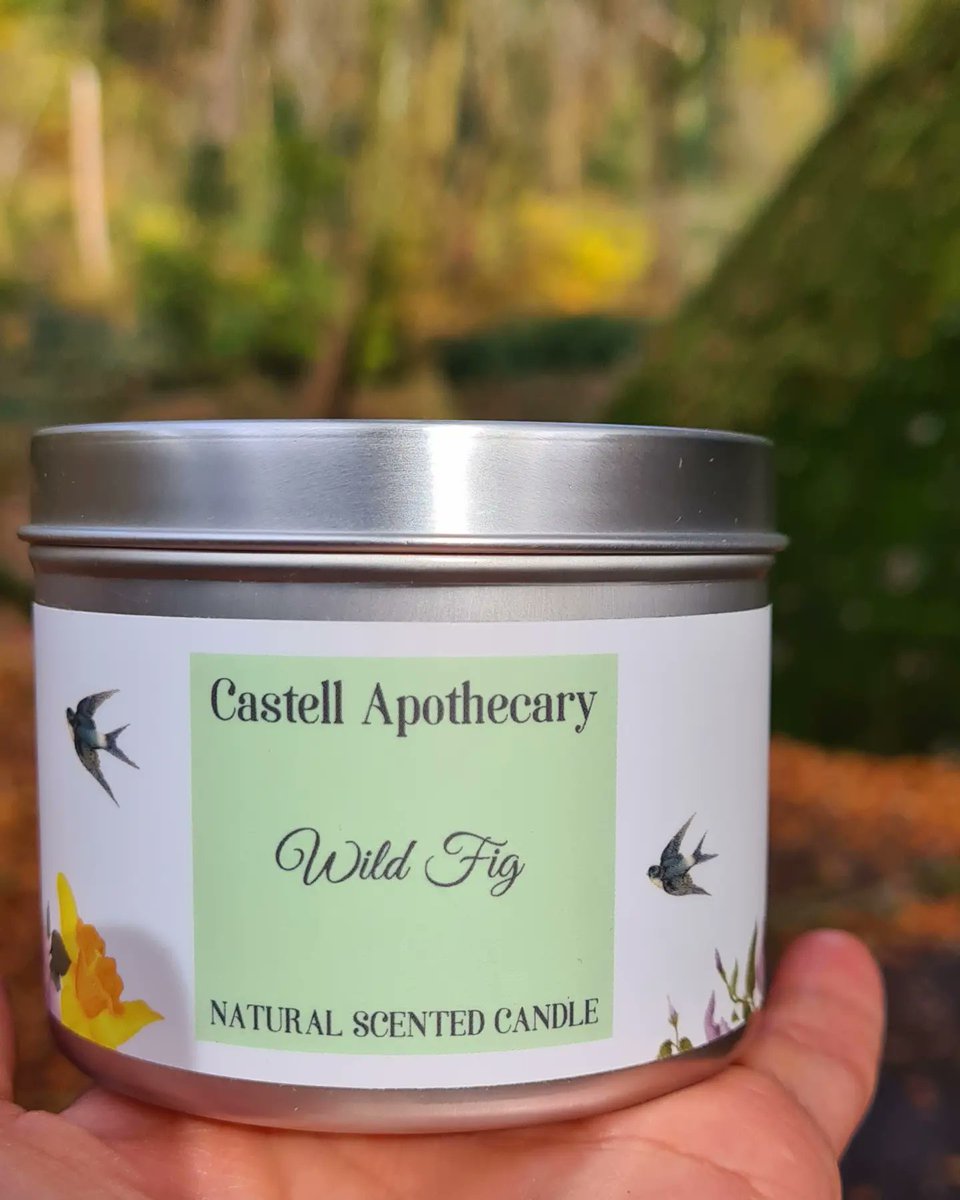 CastellUK's tweet photo. This is one of my favourite 📸 from #amaturephotographer Alec taken @forestfarmuk

The scents in the air during an autumnal walk around the #Naturereserve remind me of our #WildFig  #soycandle #fresh #green so lovely

#Cardiff #handpouredcandles #madeinwales  #giftideas #Sunday https://t.co/aPCihU4PLK