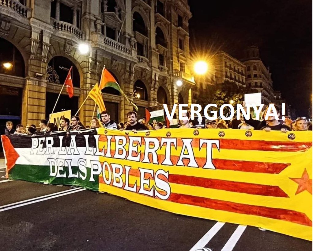 ConstruimA's tweet photo. Ens alegrava veure que últimament hi havia poques estelades a manis per Gaza.

Una vergüenza, indecente, cómo siempre se compara-equipara Palestina con Cat, más, si cabe, ahora. 

Vergonya instrumentalitzar així, de debò importa Gaza o la indepe abans que tot? Cal denunciar-ho. https://t.co/XYkLSB0LyC