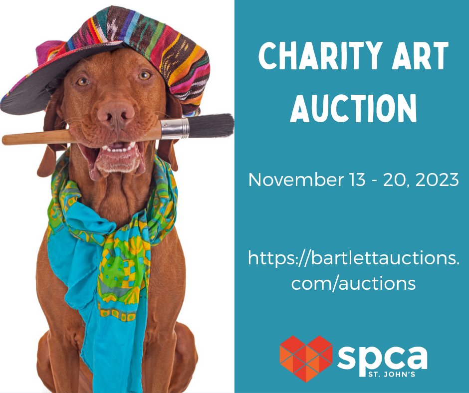 📣 SPCA St. John's Art Auction 

Bartlett's is having an Art Auction in support of SPCA St. John's beginning TOMORROW. 

There is a wide range of lovely art pieces that are sure to catch your eye! 🧡

bartlettauctions.com/auctions/24213…