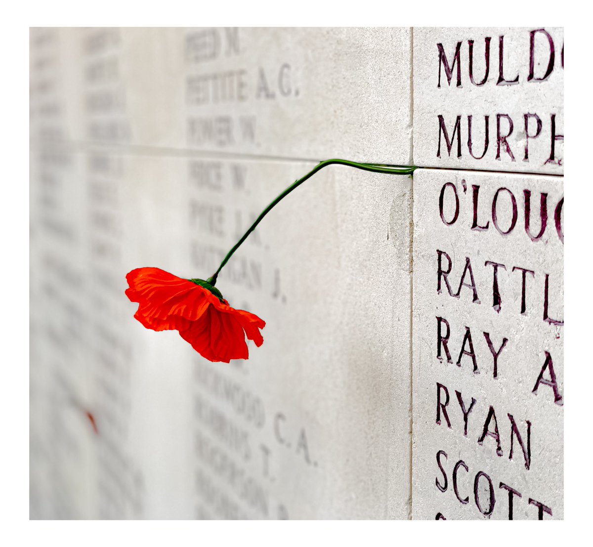 We will remember them #RemembanceDay 
<a href="/PoppyLegion/">Royal British Legion</a>