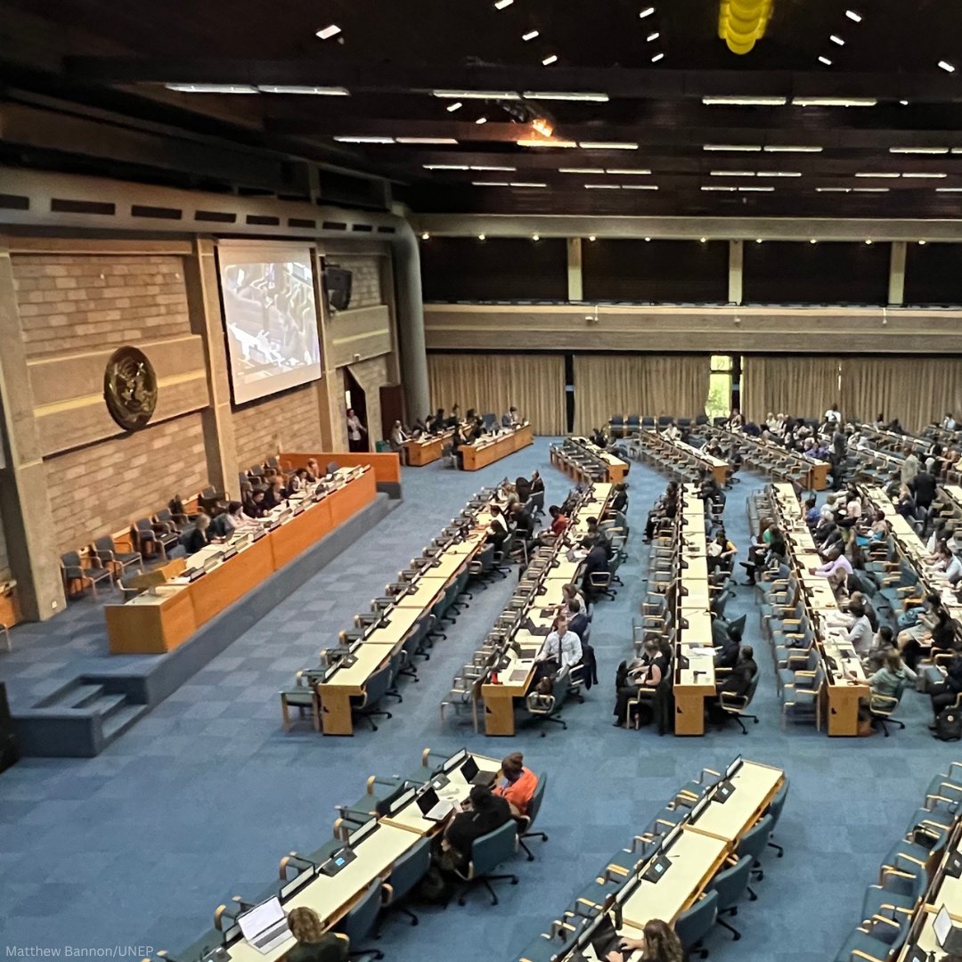 UNEP's tweet image. Preparations are underway for the 3rd session of the Intergovernmental Negotiating Committee which will advance negotiations on the "Zero draft" of the #PlasticsTreaty, taking place next week at UNEP HQ in Nairobi.

Follow the action: unep.org/inc-plastic-po…