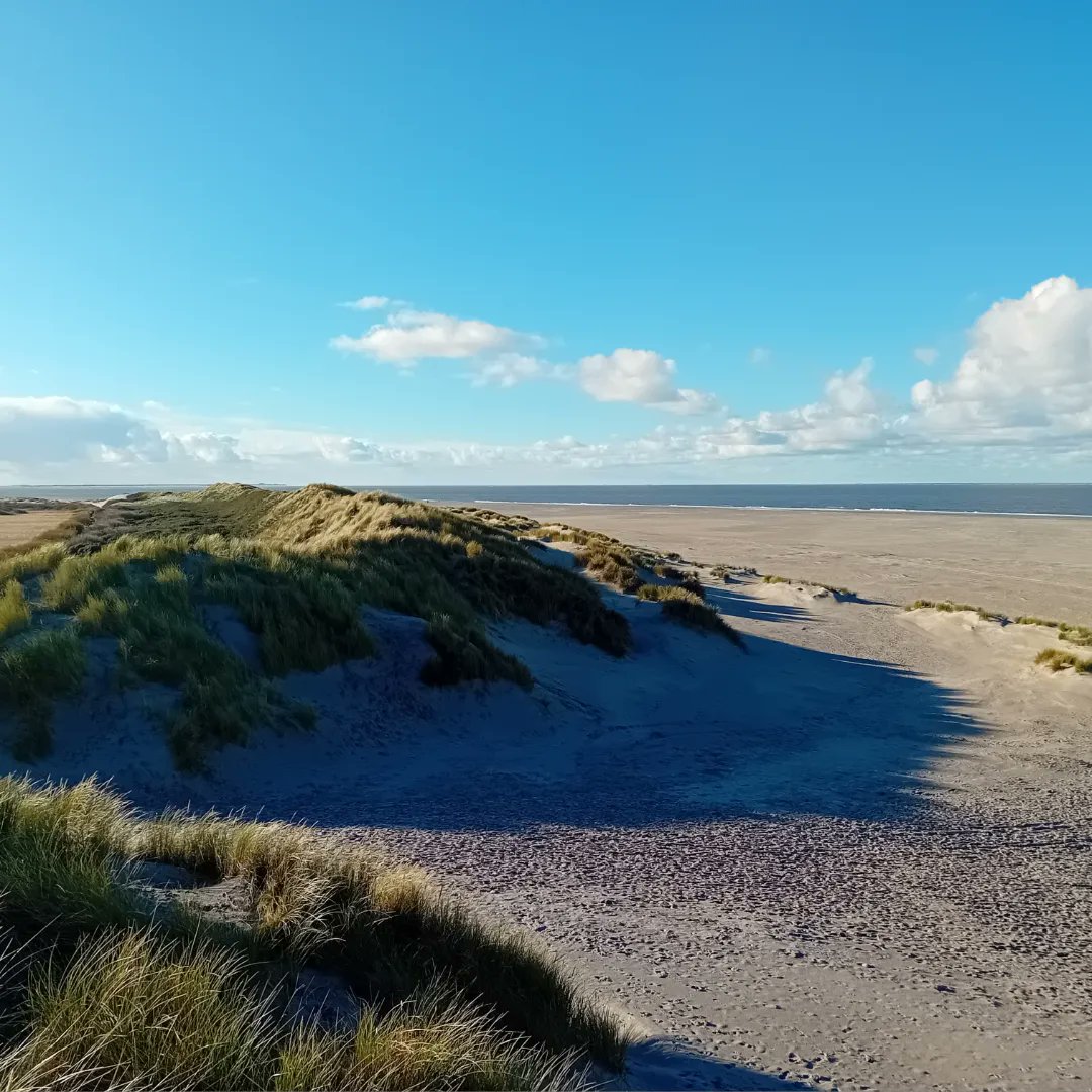 JanLaag's tweet photo. Genieten van het prachtige weer en het fantastische uitzicht 
 (de gezonde booster) 🤗🍀 https://t.co/zMv6yyp4Ug