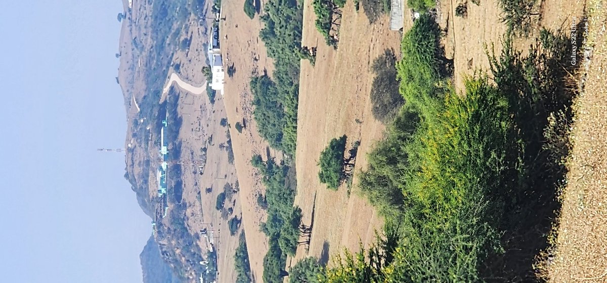 فقدت هذه المنطقه والكثير من المناطق الكثير من الاشجار خلال فتره الاعاصير الماضيه لذلك نرجوا  من وزاره الزراعه وهيئه البيئه معا ان تزرع شتلات كبيره من الاشجار المحليه  السمر والسدر خاصة في هذه المناطق خاصه على  التلال والاماكن المرتفعه لتزيد المنطقه جمالا ومرعى وظلا للزوار والسواح