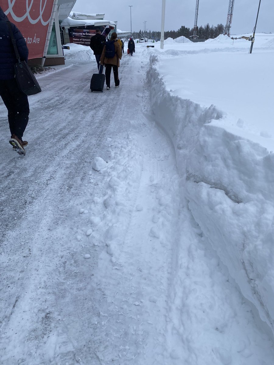 MariaRorvang's tweet image. Heading north again to teach equine learning theory for the hippology-students. 80 cm of snow and more coming 😄❄️☃️ Good that the rooms are super cozy and warm and offers first row view of the horses 🐴 
#equitationscience #learningtheory #teacherlife