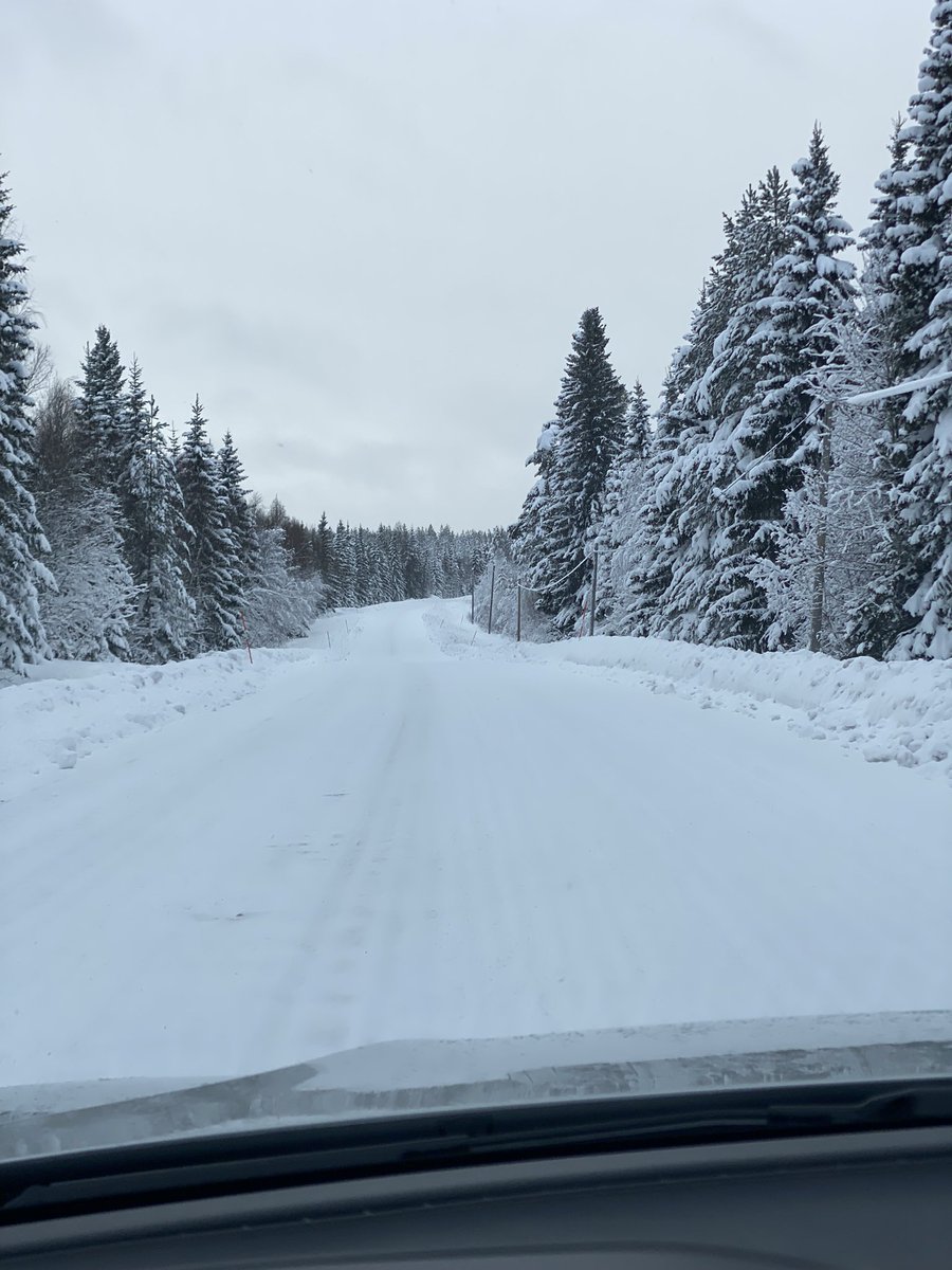 MariaRorvang's tweet image. Heading north again to teach equine learning theory for the hippology-students. 80 cm of snow and more coming 😄❄️☃️ Good that the rooms are super cozy and warm and offers first row view of the horses 🐴 
#equitationscience #learningtheory #teacherlife