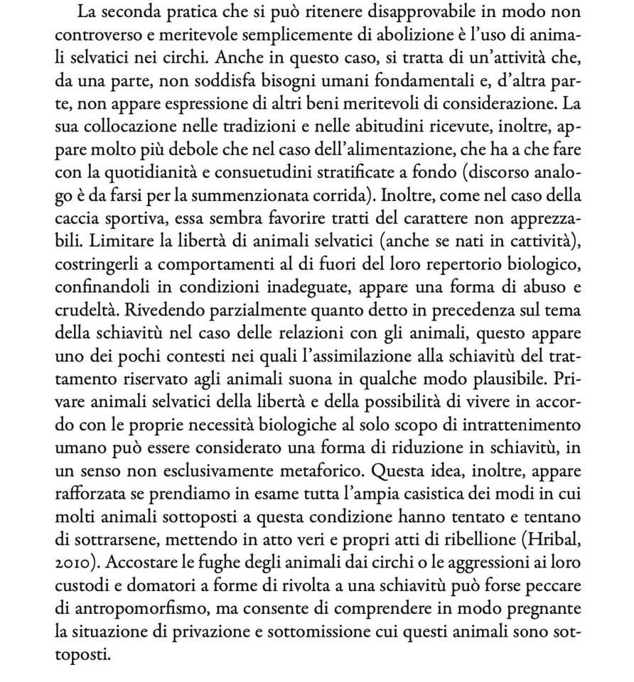 Simone Pollo tweet media