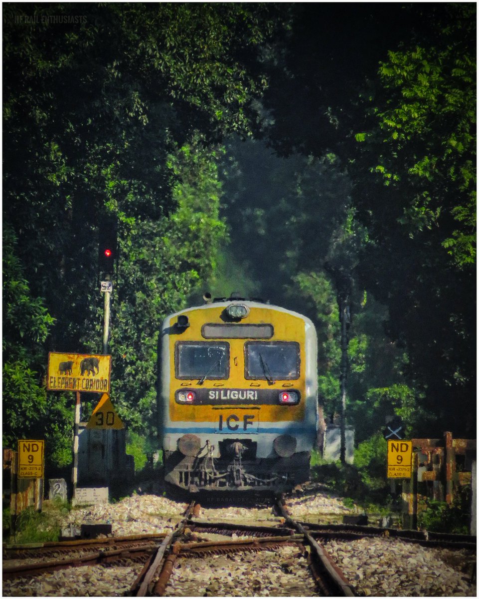 Video link --> youtu.be/huGi2fgIKac?si…

#NewCoochbehar to #Lataguri via #Changrabandha: Complete Train Journey by 07514 #Bamanhat - #SiliguriJunction DEMU Special || #IndianRailways

#NFRailEnthusiasts | @NFR_Enthusiasts

FYKI:
@drm_apdj @RailNf @drm_kir @Ananth_IRAS