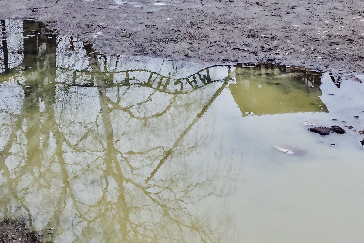 Ton_in_t_Veld's tweet image. #november_kiek, vandaag is het thema #ingang
Met @Tpzijl

Auschwitz’