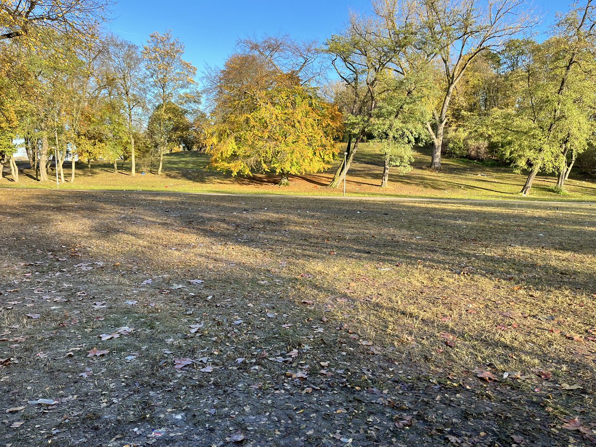 #Köln am 12.11. 
Grasnarbe am inneren Grüngürtel komplett zerstört.
#Alaaf