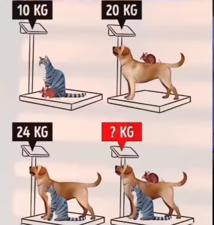 theepicmap's tweet image. 99.999% will fail 🧐