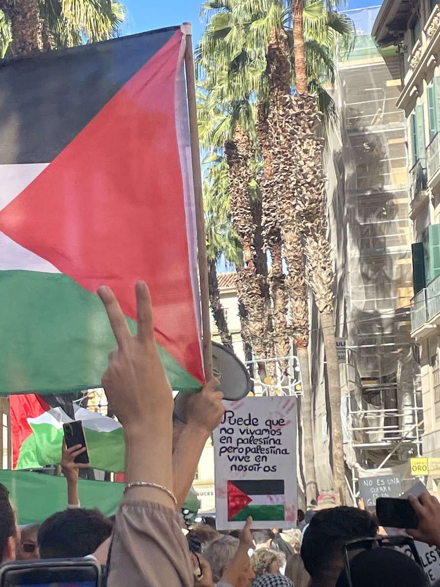 nurssssi's tweet photo. Lo mínimo que se puede hacer es alzar la voz, hoy y todos los días. 🇵🇸❤️‍🩹 https://t.co/LASgkbNFCs