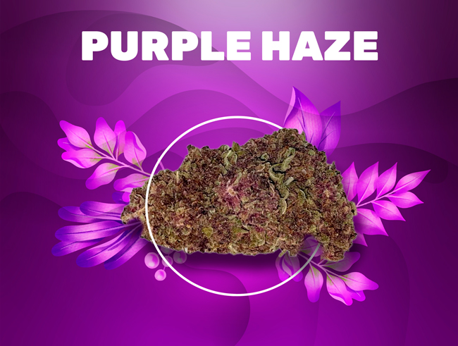 weedzyCBD's tweet photo. 🛑COMMANDE X2 🛑
On DOUBLE votre commande sur plusieurs produits #CBD ⬇️⬇️ https://t.co/o56KmqF7sq
