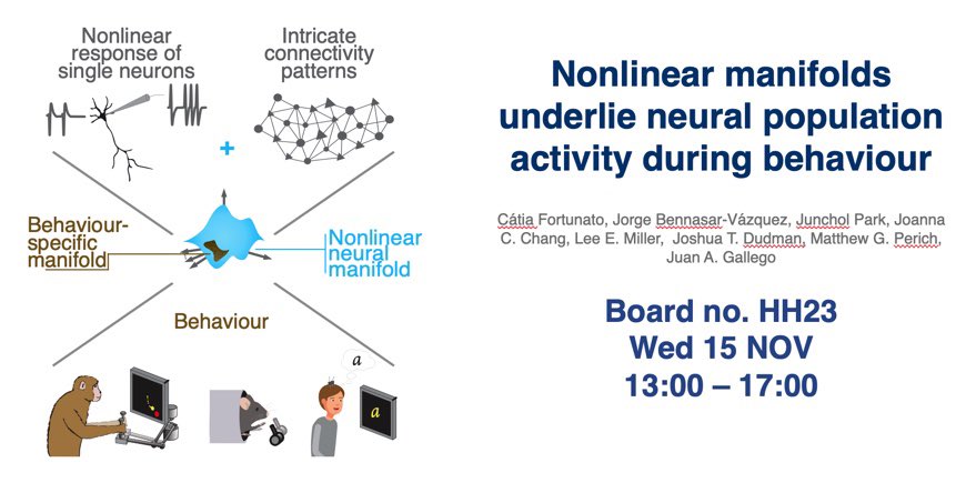 Really excited to attend SfN for the first time! #SfN23 I will share our work on nonlinear manifolds, and how we are planning to expand to high-dimensional behaviour and sensory areas. Save some energy for Wednesday afternoon! 😊