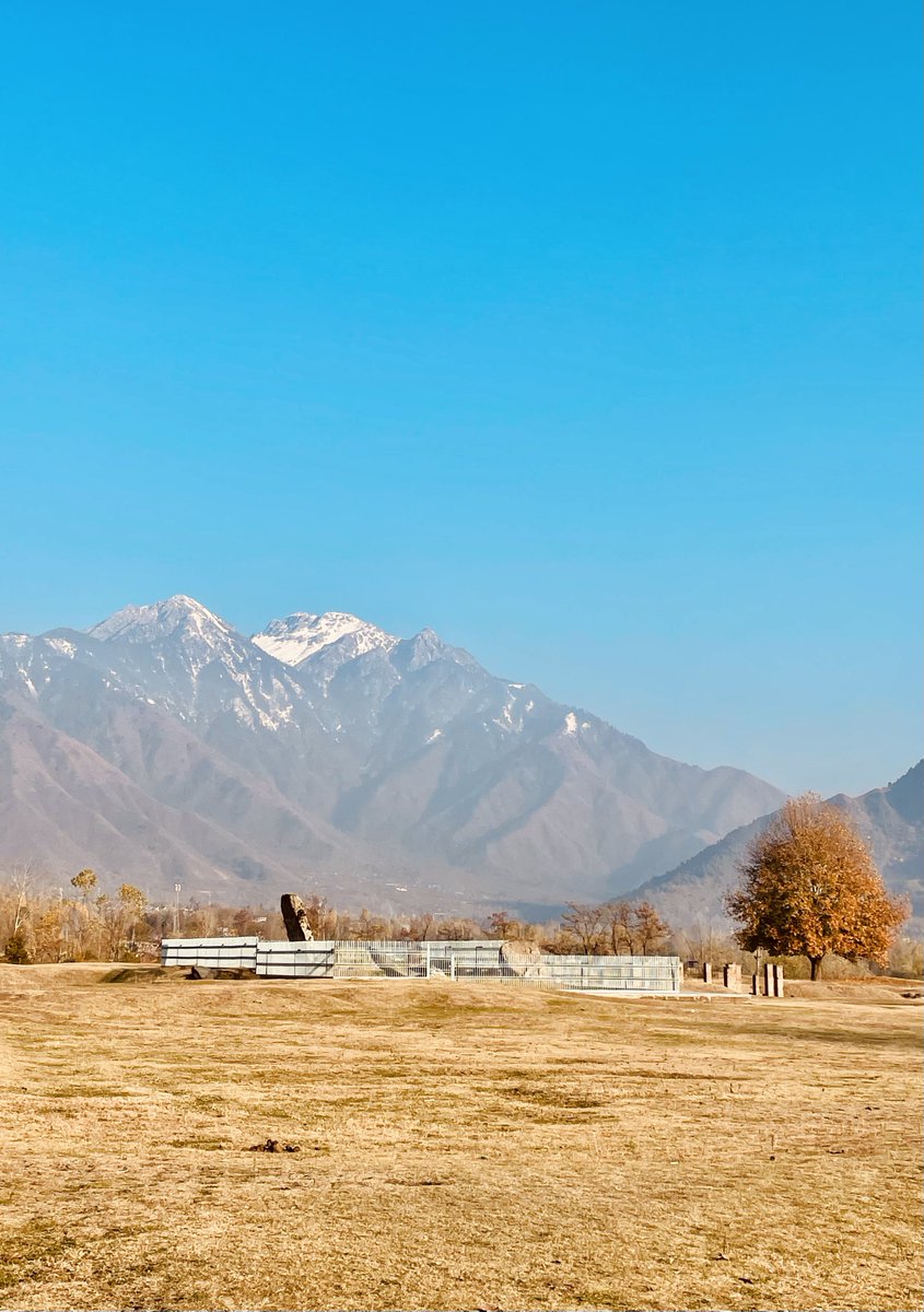 Autumn in Kashmir! 🍁