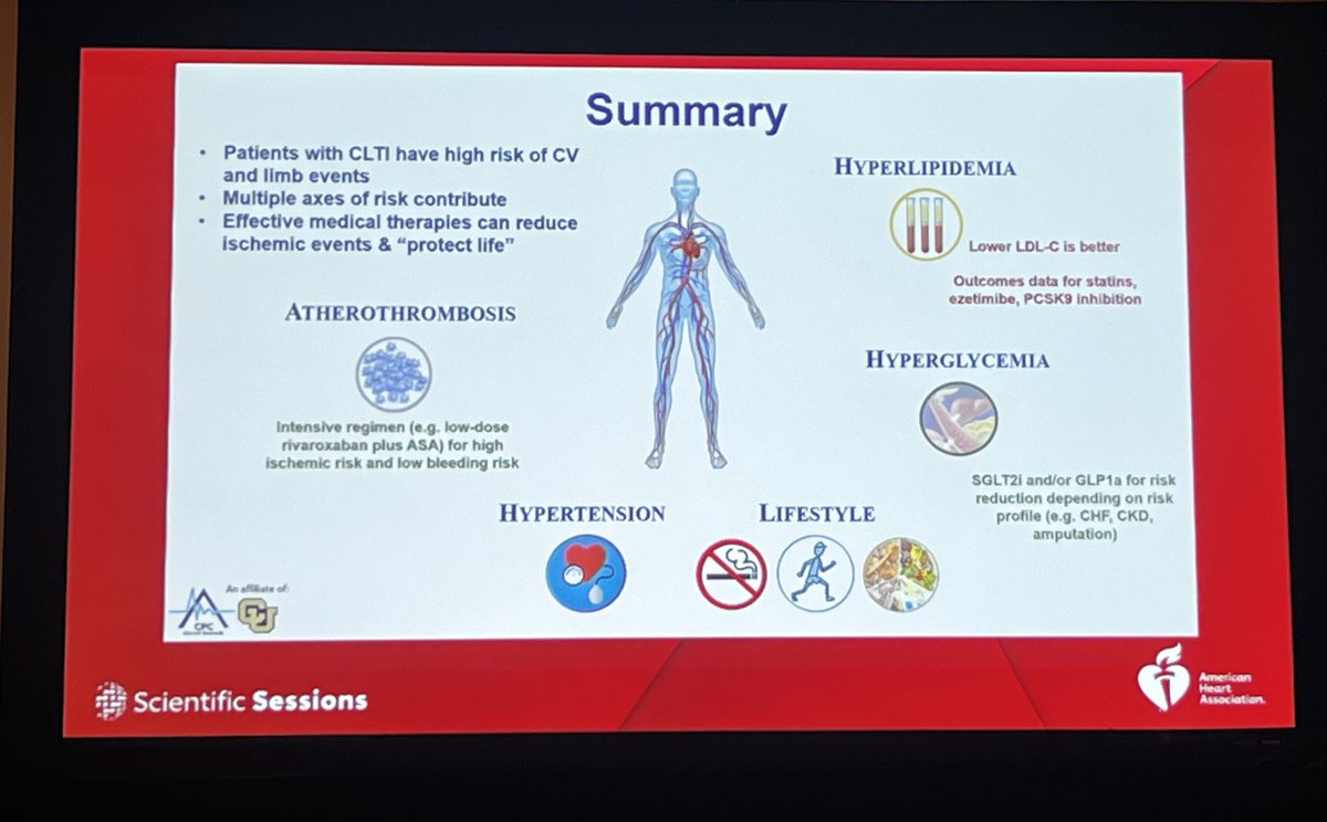 Dr. Connie Hess reviews medical therapies to consider for patients at risk limb amputations. Its important to keep in mind that effective medical therapies reduce ischemic events and improve overall quality of life in this population @PVDCouncil #Aha2023